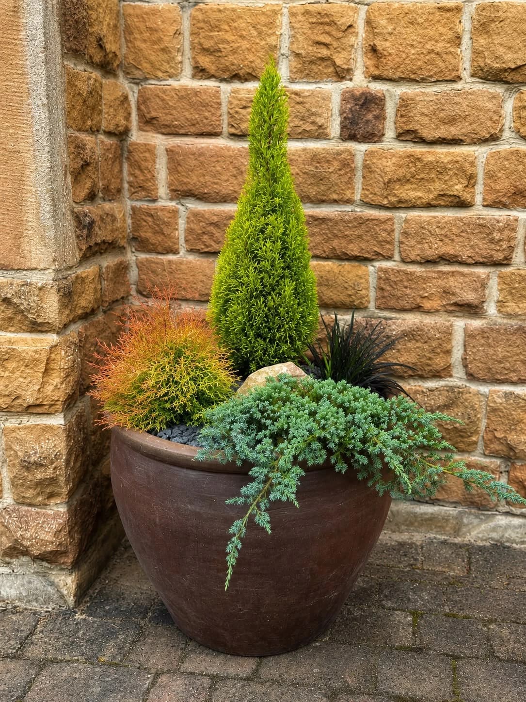 Mediterranean Aromatic